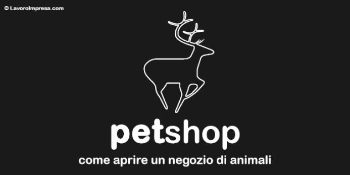 Come aprire un'attività di toelettatura per cani: strategie, obblighi e  formazione